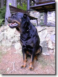 Můj nejlepší přítel