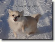 ,,Hrátky ve sněhu!\"