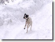 Benjamine na horách