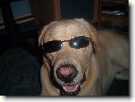 Amigo Filip z Hrošky