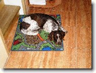 Arka z loučské paseky