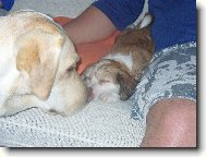 Meggie a miminko číňánka Max