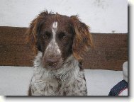 Arka z loučské paseky