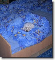 V postýlce mi je nejlépe...