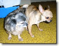 Já si užiju a ty se mámo starej !!!