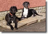 Anička a Dolomita z Pernštýnských hradeb