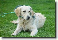 Anny a síťka na rybičky