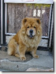 Tady hlídám já....