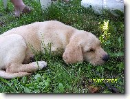 Bára poprvé na výletě