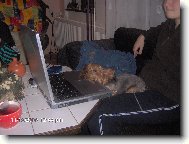 To věčné surfování po internetu docela unaví:o\\)