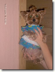 Tak a můžeme se pustit do vánočního úklidu:o\\)