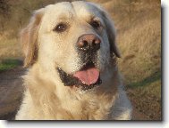 jó portrét\\.\\.\\.\\.\\.