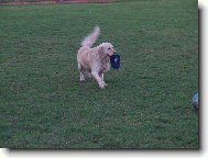 okrádám hlavně fotbalisty\\.\\.\\.