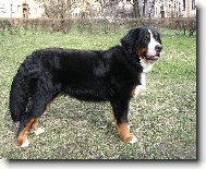 Ještě malý nebo už velký\\?