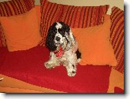 mé první narozeniny:-\\)