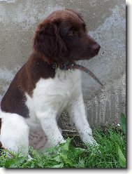 Hera z Vlasteckého vrchu\\.\\.\\.\\.Bona