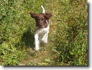 Hera z Vlasteckého vrchu