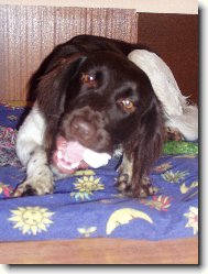 Hera\\.\\.\\.10 měsíců