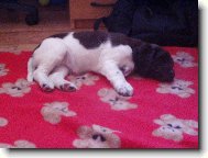 Hera z Vlasteckého vrchu