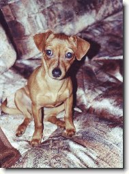 To je naše Madlenka