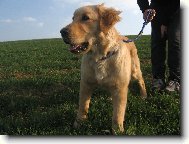 Náš 5timěsíční fešák Jerry:)