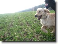 Náš 5timěsíční fešák Jerry:)