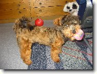 zimní domácí hrátky