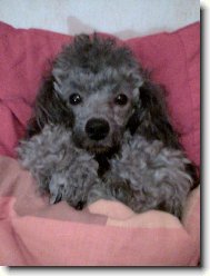 když je mi zima zalezu si pod peřinu