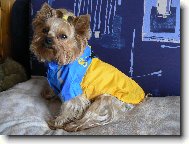 Adélka v pláštěnce