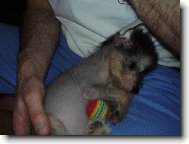 moje zlatíčko Fanny