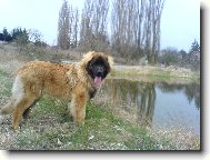 Akim Od Chuchelské dráhy