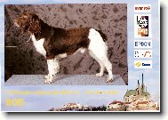 Mond od Pstriží říčky