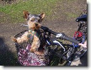 hurááá jedu na výlet.