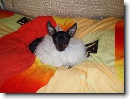 Autogramy až na letišti!!!