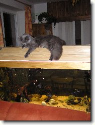 ty jsou všechny moje