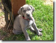 takhle mam pózovat?