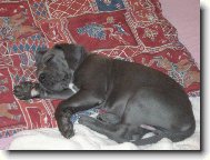 jsem nějaká ospalá