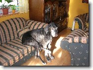 ještě mi puste prosím televizi