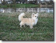 Na procházce u řeky