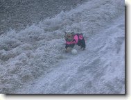 v zimním oblečku běži za balonkem