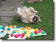 já ty vejce rozválím!