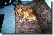 pěkně odpočívám