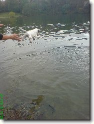 Agnes se učí plavat