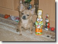 kdo je větší ja nebo on?