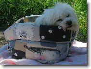 V pelíšku mi je nejlépe..