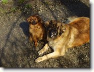 Ketynka s Bobíčkem