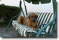 A už je moje i houpačka!!