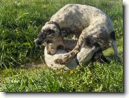 dva v jednom...Oskarek a jeho sestra meluzína