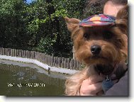 Tady mě paničky vzaly do lesoparku podívat se na zvířátka