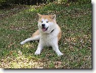 Potřebuju se trochu vydýchat-je horko!